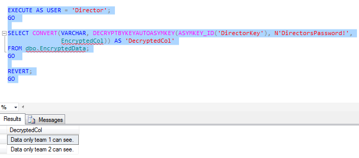 With DecryptByKeyAutoAsymKey(), the user only has to be able to specify the right asymmetric key and it's password