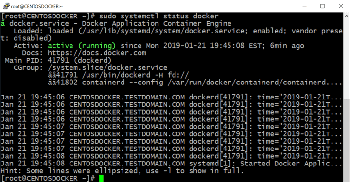 verify that Docker on Linux is running