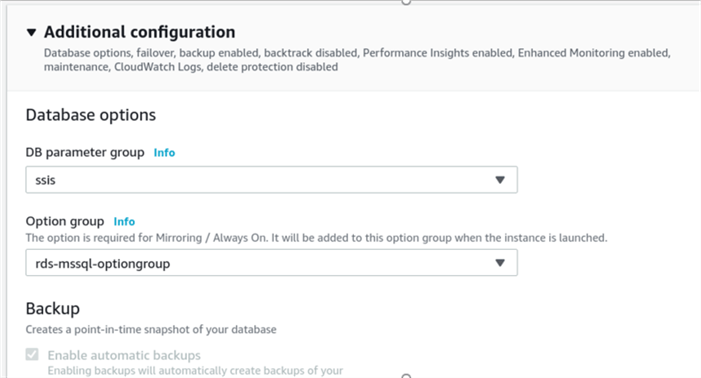 Selecting custom Option Group and Parameter Group for an RDS instance.