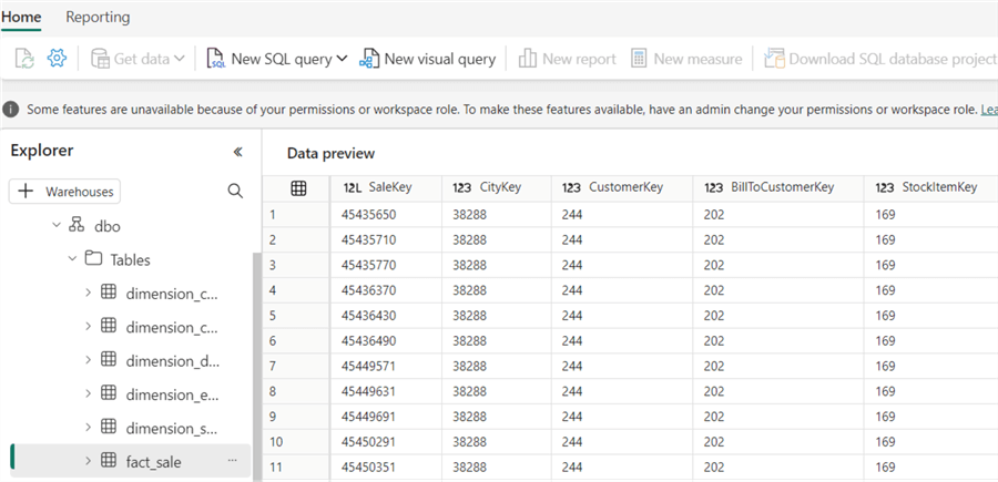 alice can view and query tables