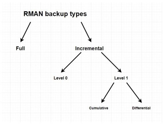 hierarchy of RMAN backup types