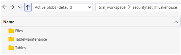 files in the lakehouse viewed by storage explorer