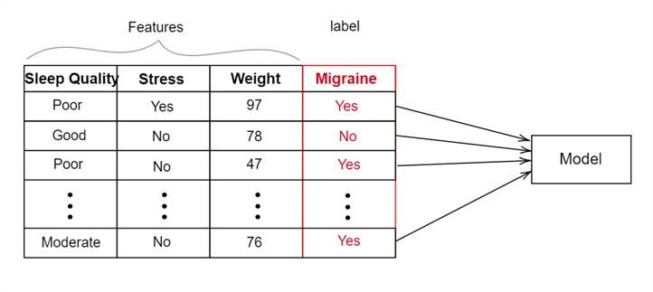 A migraine prediction dataset with label.