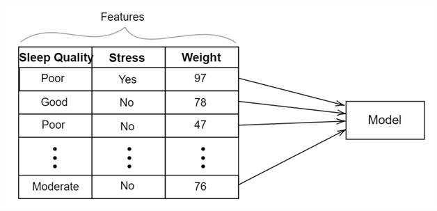 A migraine prediction dataset without label.