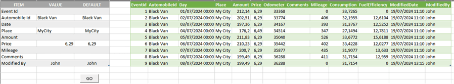 Excel after entering some data