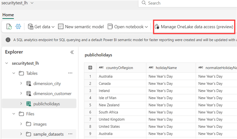 manage onelake data access