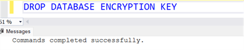 Drop the database master encryption key