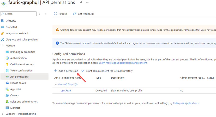 API permissions