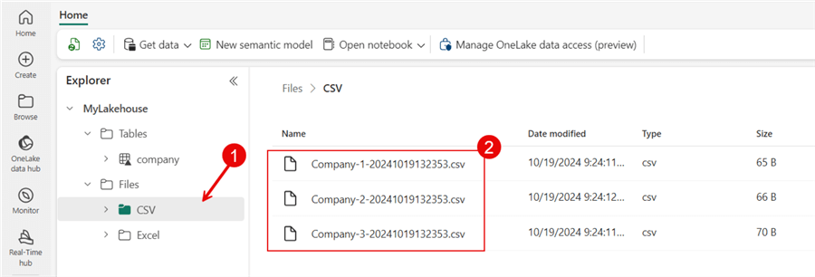 CSV Files