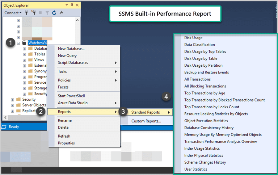 SQL Server Management Studio Standard Reports